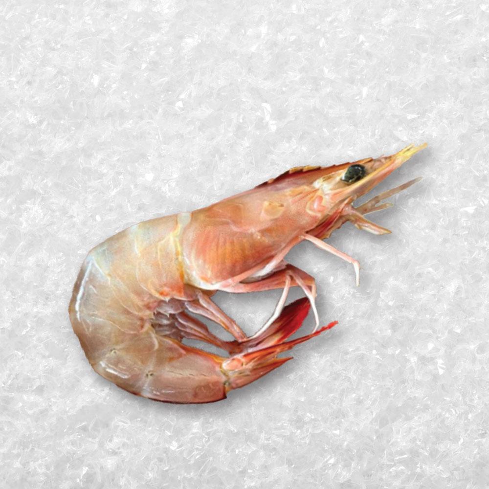 Ming Xia Prawn